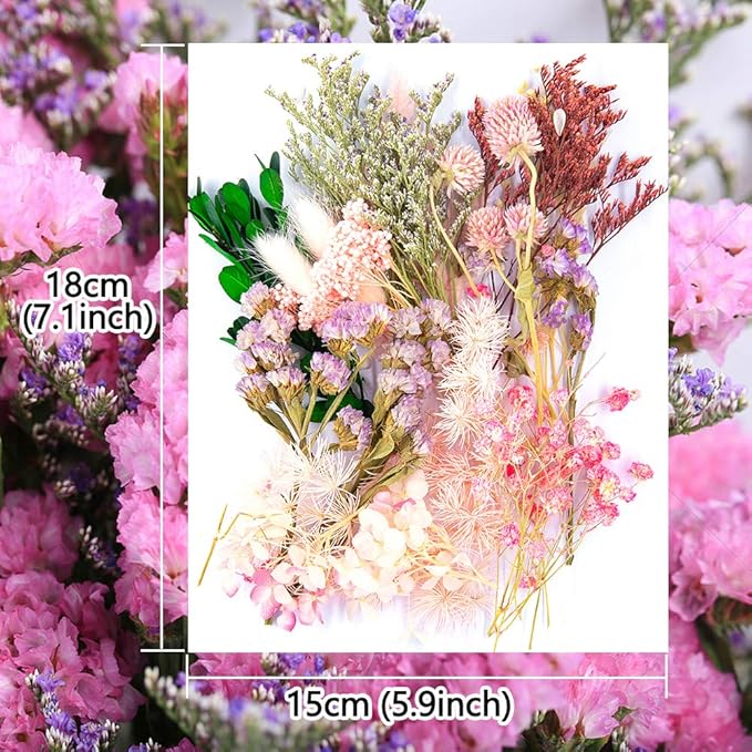 Vignee Real Dried Pressed Leaf Flowers-Multiple Colorful Pressed Flowers Daisies for Craft Resin Jewelry Making Art Craft DIY and Soap Candle Scrapbooking DIY Resin（Light Pink）