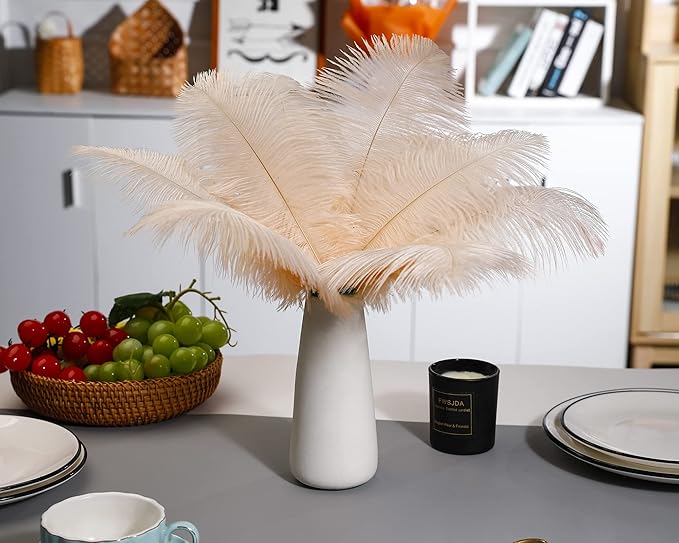 Ballinger Light Salmon Ostrich Feathers - 24pcs 10-12inch Feathers for vase，Wedding Party Centerpieces and Home Decor