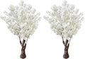 artificial cherry blossom tree, 4.3ft 2 pack white, main product view