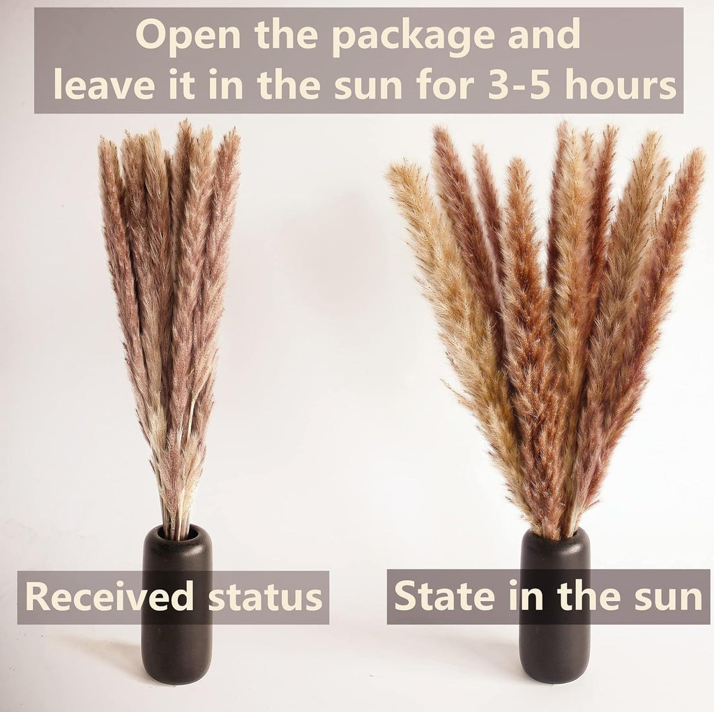 100 PCS Small Boho Pampas Grass, 17" Naturally Dried Pompas, Pampas Grass Decor for Wedding , Boho Party Decorations, Table Decor（Brown and White）