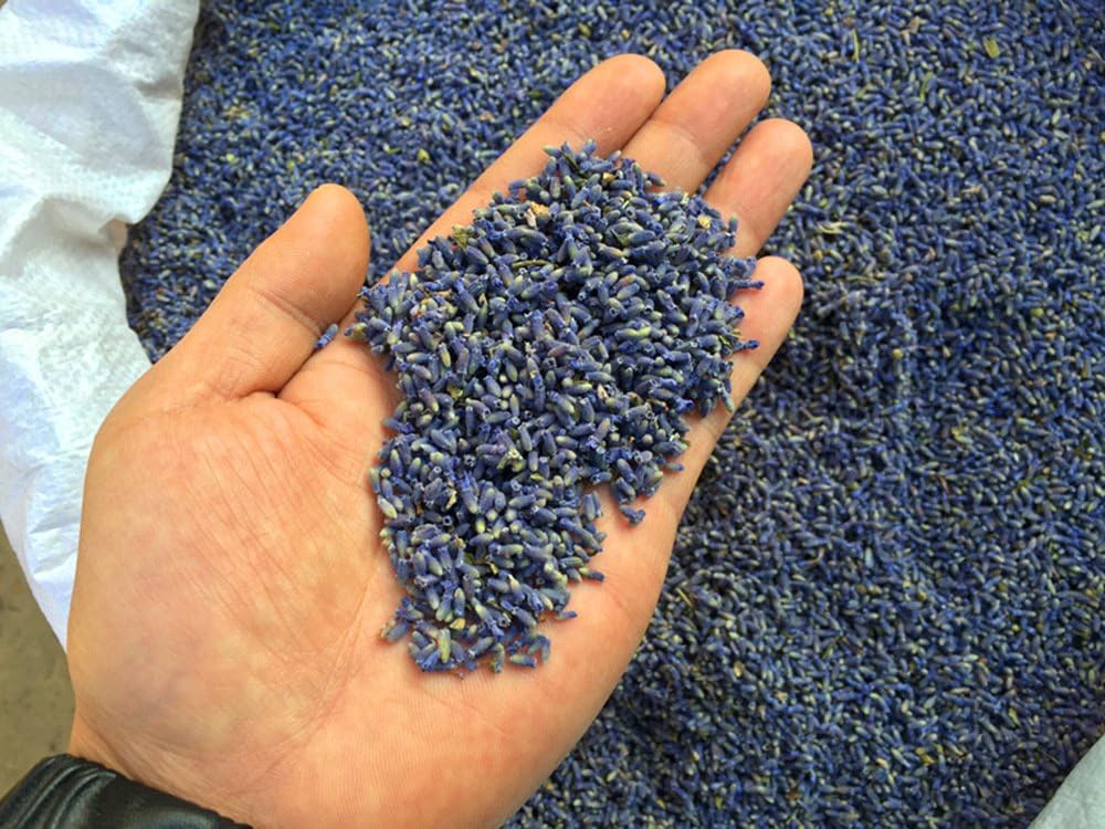 TooGet Fragrant Lavender Buds Dried Flowers Wholesale, Ultra Blue Grade - 225g