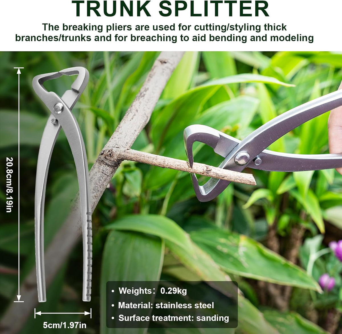 6 PCS Bonsai Pruning Tool Set, 6 Different Roles of Scissors to Meet All the ...