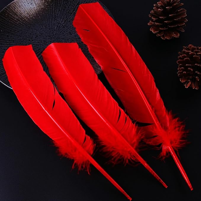 Red Turkey Feathers,22 Pcs Natural Feathers Bulk Long 10-12 inch (25-30cm),Turkish Feather for Crafts DIY Wedding Home Party Mardi Gras Decorations (Red)