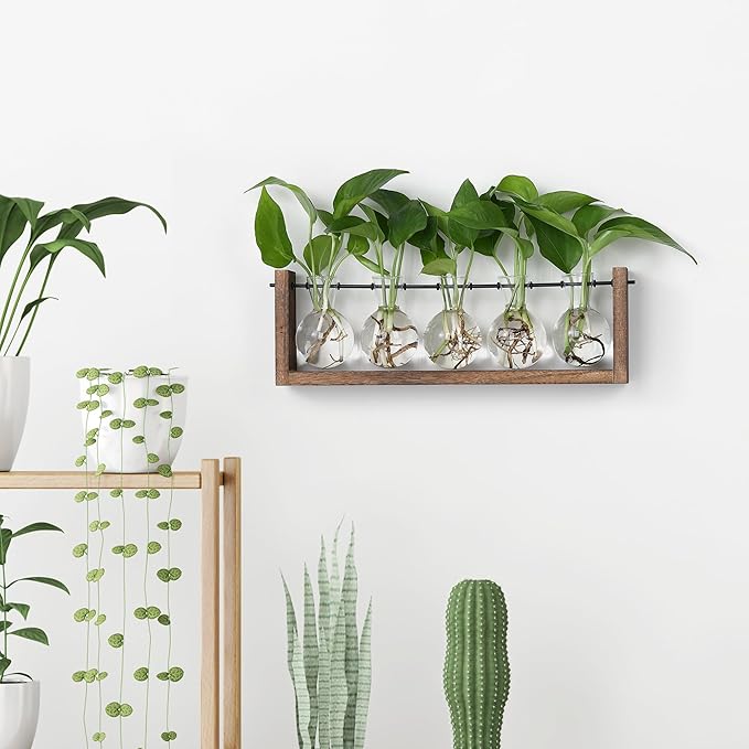 YIBOT Plants Propagation Stations,Plant Terrarium with Wooden Stand,Wall Hanging Glass Planter Plant Propagation Vase for Indoor Office Home Garden Decor Plant Lover Gifts for Women-5 Bulbs