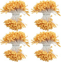 HAHIYO 700Pcs 2mm Orange-Yellow Matte Double Head Flower Stamen Pistil for Flower Making Scrapbook Decoration - Handmade Artificial Flowers Pistil Matt-Like Floral Stamens Flowers Pollen Stamen