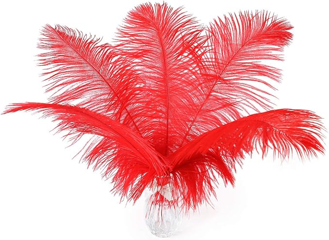 24pcs Natural Bright Red Ostrich Feathers 10-12inch (25-30cm) for Wedding Party Centerpieces，Flower Arrangement and Home Decoration.