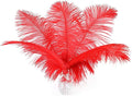 Ballinger Red Ostrich Feathers Bulk - 24Pcs 8-10inch Feathers for Crafts,Party Centerpieces,Wedding and Home Decor