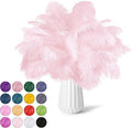 NEWONG 30pcs Light Pink Ostrich Feathers Natural Bulk 8-10inch（20-25cm) Vase Craft Wedding Home Party Centerpieces Christmas Day coquettish Valentine's Day Decoration