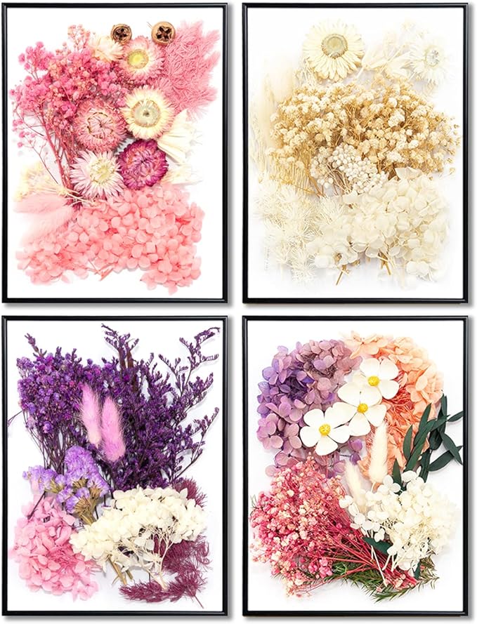 Vignee Real Dried Pressed Leaf Flowers-Multiple Colorful Pressed Flowers Daisies for Craft Resin Jewelry Making Art Craft DIY（White）