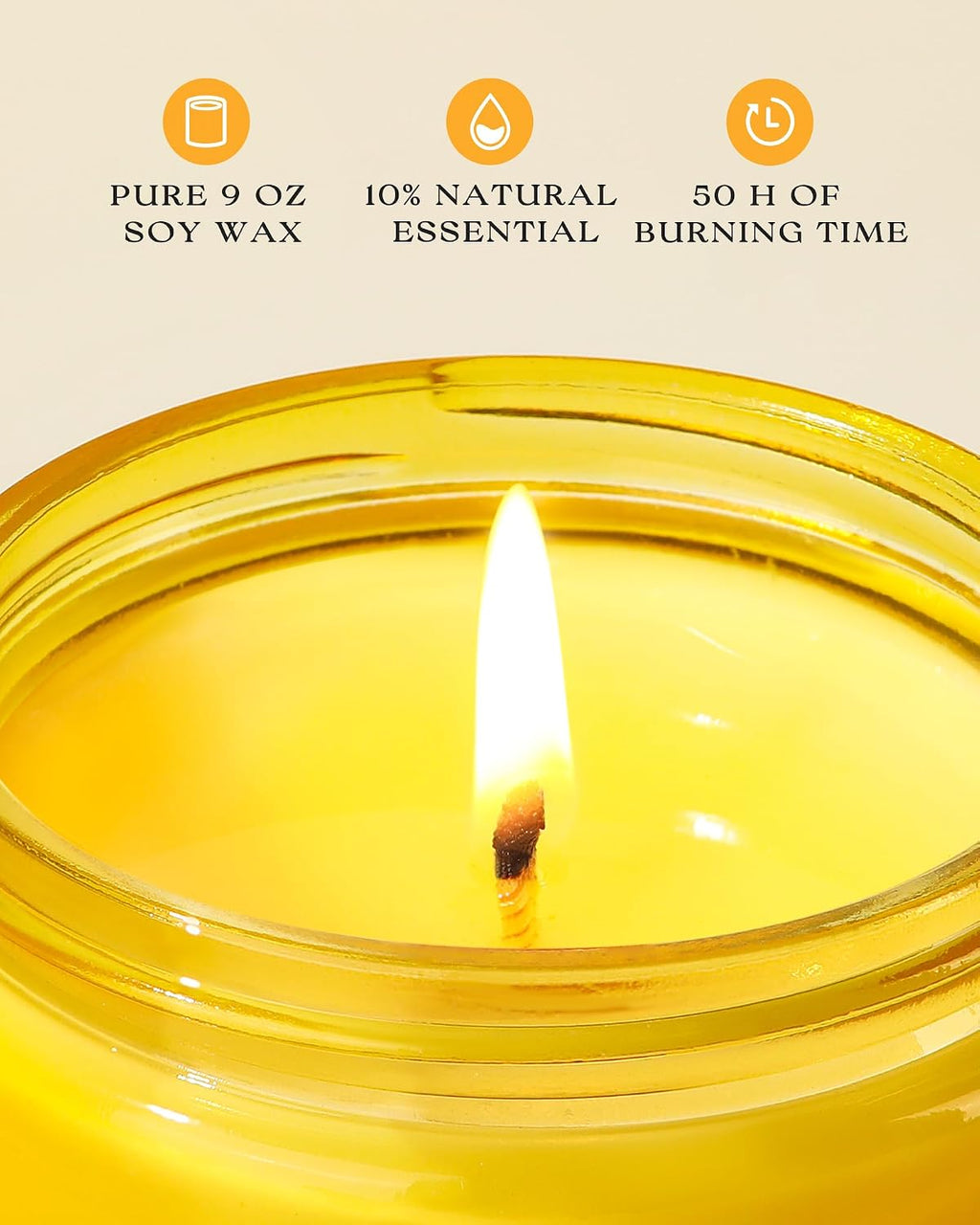 AOOVOO Citrus Lemon Odor Eliminating Highly Fragranced Candle - Eliminates 95% of Pet, Smoke, Food, and Other Smells Quickly, Non Toxic Air Freshing Soy Candle, 9 oz Up to 50 Hours Burn time