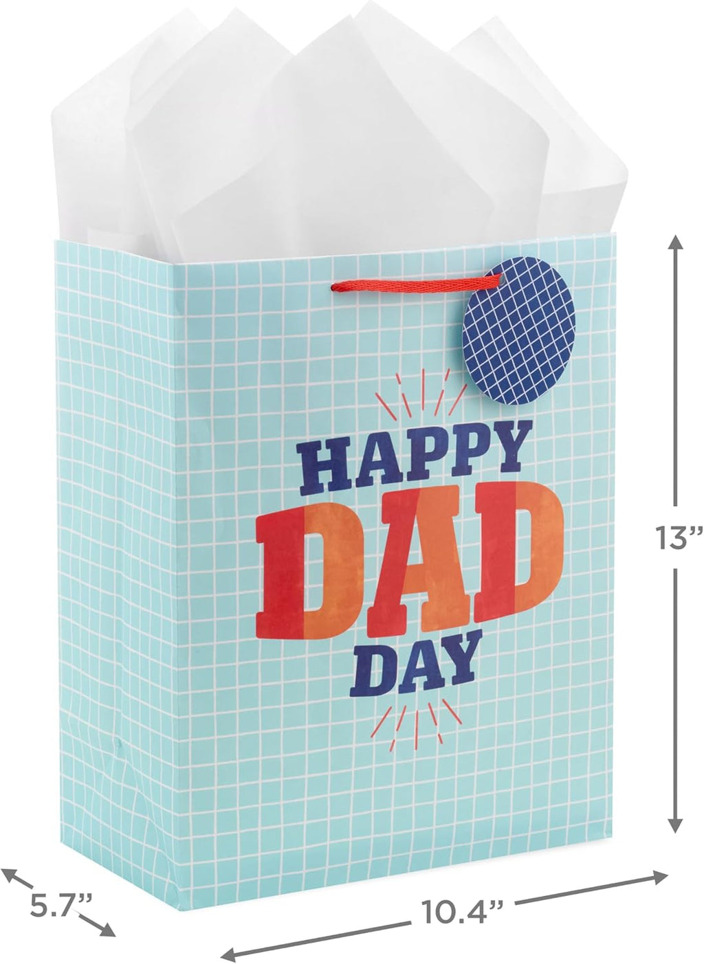 Hallmark 13" Large Father's Day Gift Bag with Tissue Paper and Gift Tag (Happy Dad Day, Light Blue)