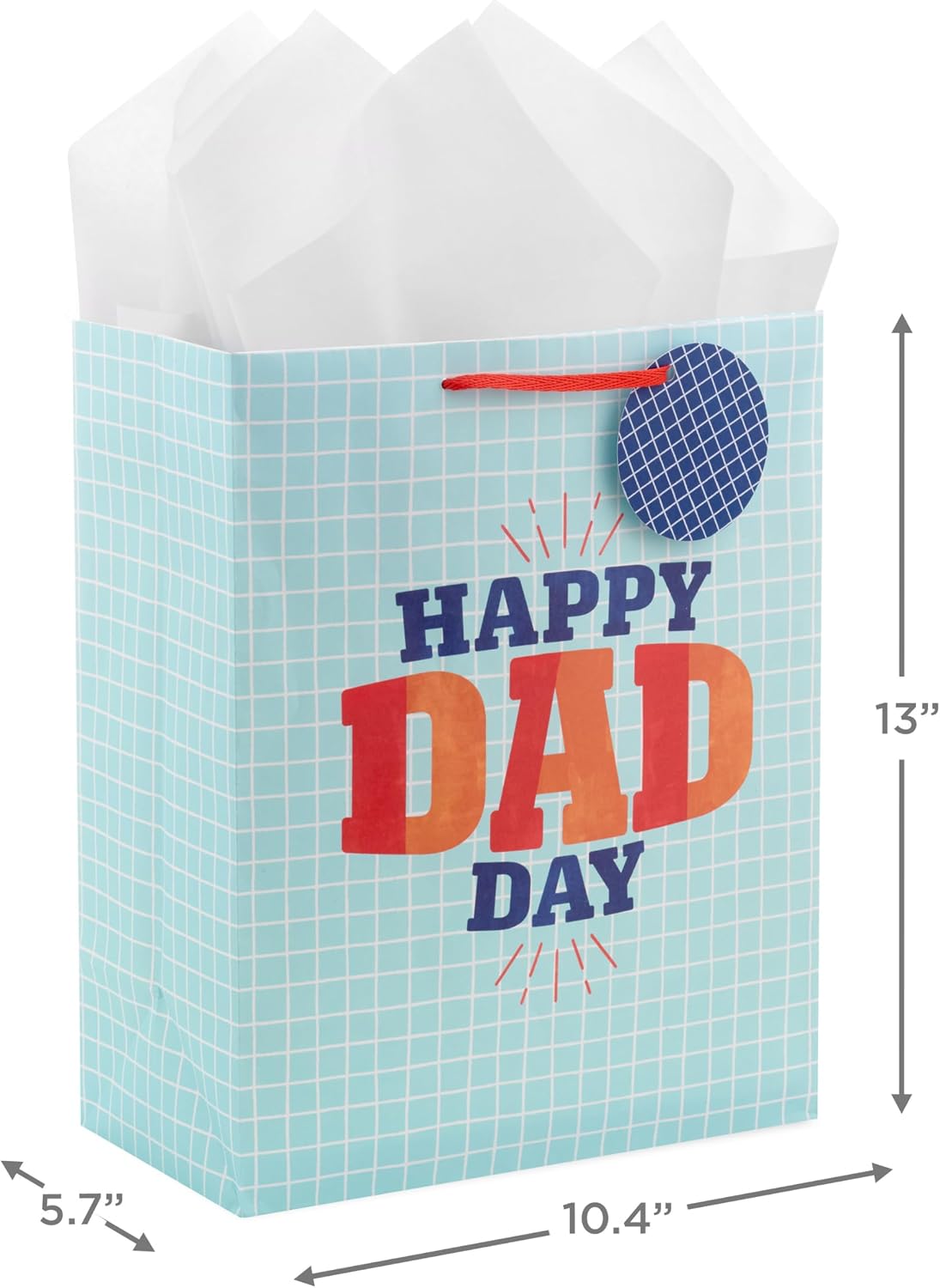 Hallmark 13" Large Father's Day Gift Bag with Tissue Paper and Gift Tag (Happy Dad Day, Light Blue)