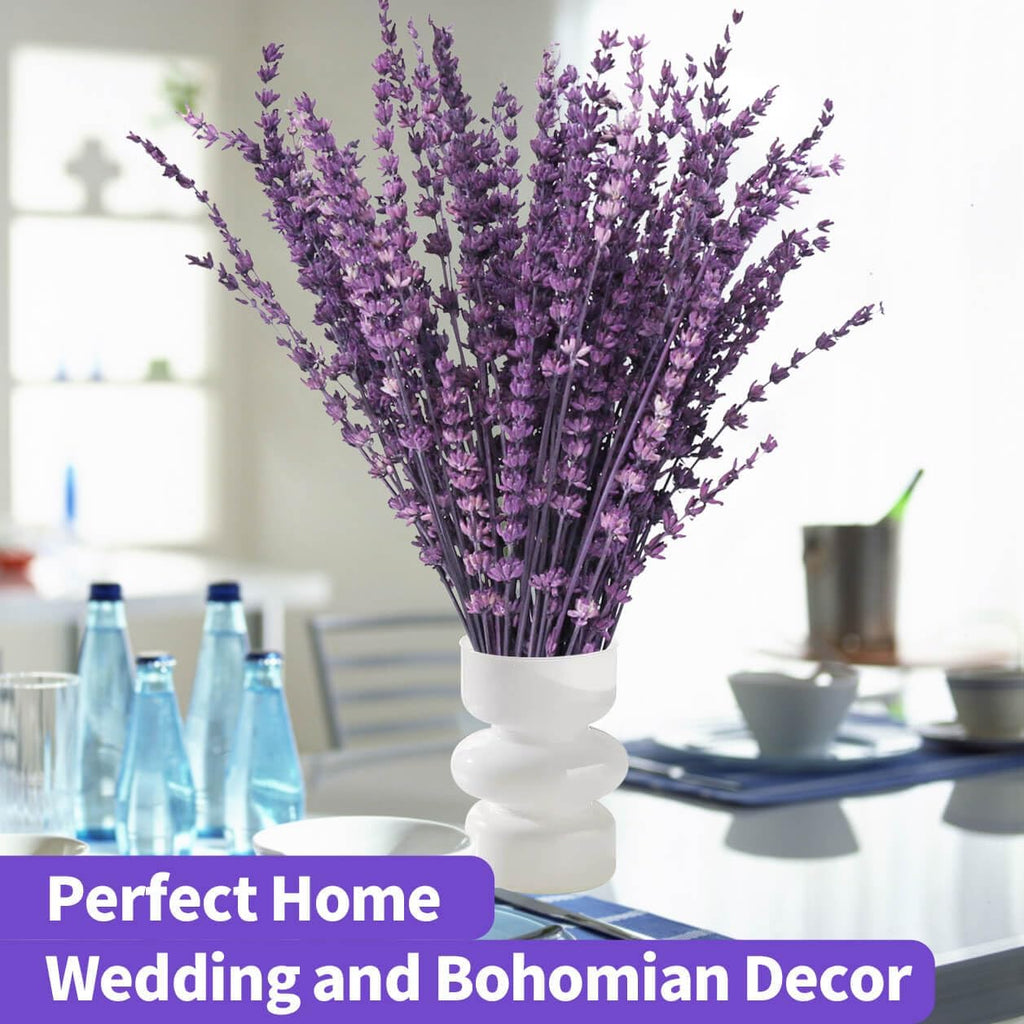 Dried Lavender Flowers, Preserved Lavender Bouquet 15-17 Inches, Purple Lavender Bundle for Shower, Home Decor, Vase Filler, Wedding Decorations, Aromatherapy, DIY Crafts, 50g(1.76oz)