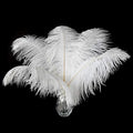 Ballinger Large White Ostrich Feathers - 24Pcs 12-14inch Large Feathers for Vase,Party Centerpieces,Wedding and Home Decor