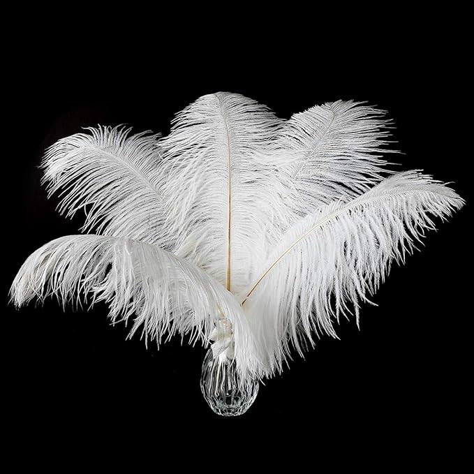 12pcs Natural White Ostrich Feathers 12-14inch (30-35cm) for Wedding Party Centerpieces，Flower Arrangement and Home Decoration.