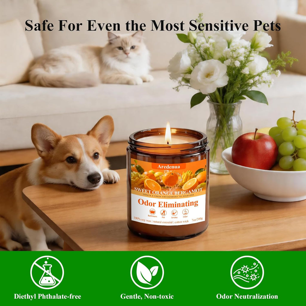 4 Pack Odor Eliminating Candles Set - Eliminates 95% of Pet, Smoke, Food, and Other Smells Quickly - Air Freshing Scent of Lavender/Orange/Mint/Cotton - 28oz Soy Candles for Home Scented, 200 Hours