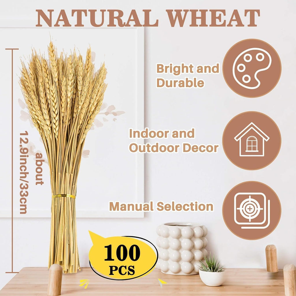 Sukh 100 Stems Dried Wheat Stalks - Boho Fall Decor for Home & Wedding | Natural Wheat Sheaves, Ideal Vase Filler, Table Centerpiece for Thanksgiving, Harvest, Autumn Farmhouse Accent, 12.9in