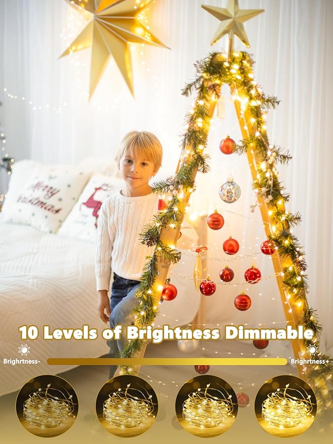 2 Pack Fairy Lights Battery Operated with Remote Control Timer, LED String Lights Outdoor Indoor, 8 Mode Twinkle Lights for Christmas Party Wedding Birthday Bedroom Décor (Warm White)