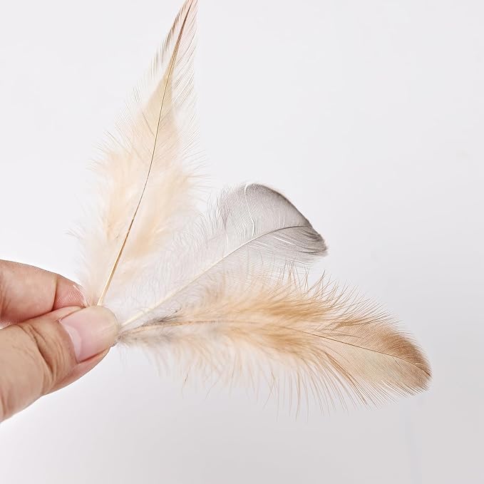 MAOFENG 270pcs 9 Styles Natural Bulk Feathers Assorted Mixed Feathers for DIY Crafts Dream Catcher Wedding Hair Hats Decoration, Guinea Fowl Feathers