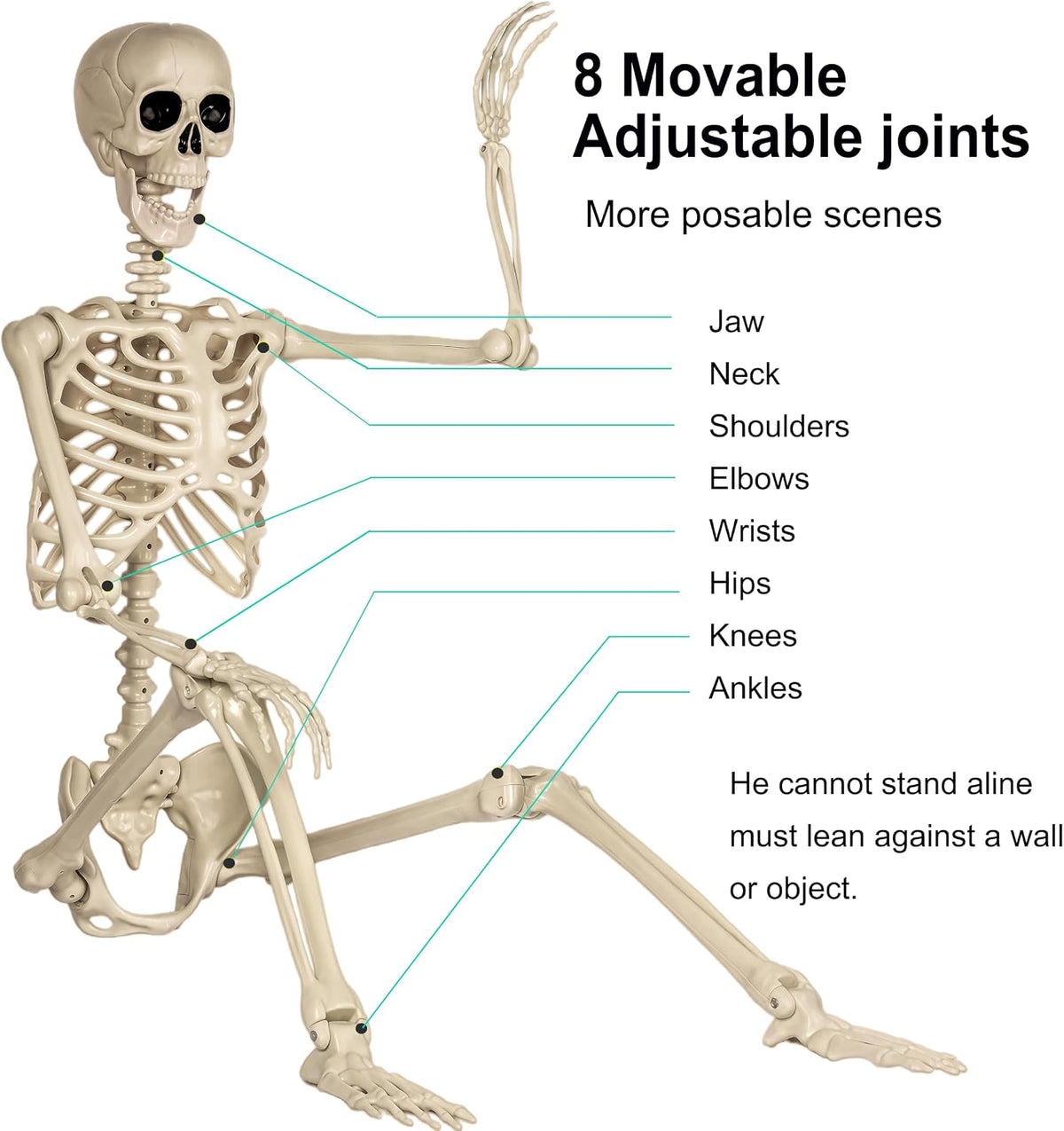 Aimeiar 5.4ft/165cm Life Size Skeleton for Halloween Decorations Outdoor/Indo...