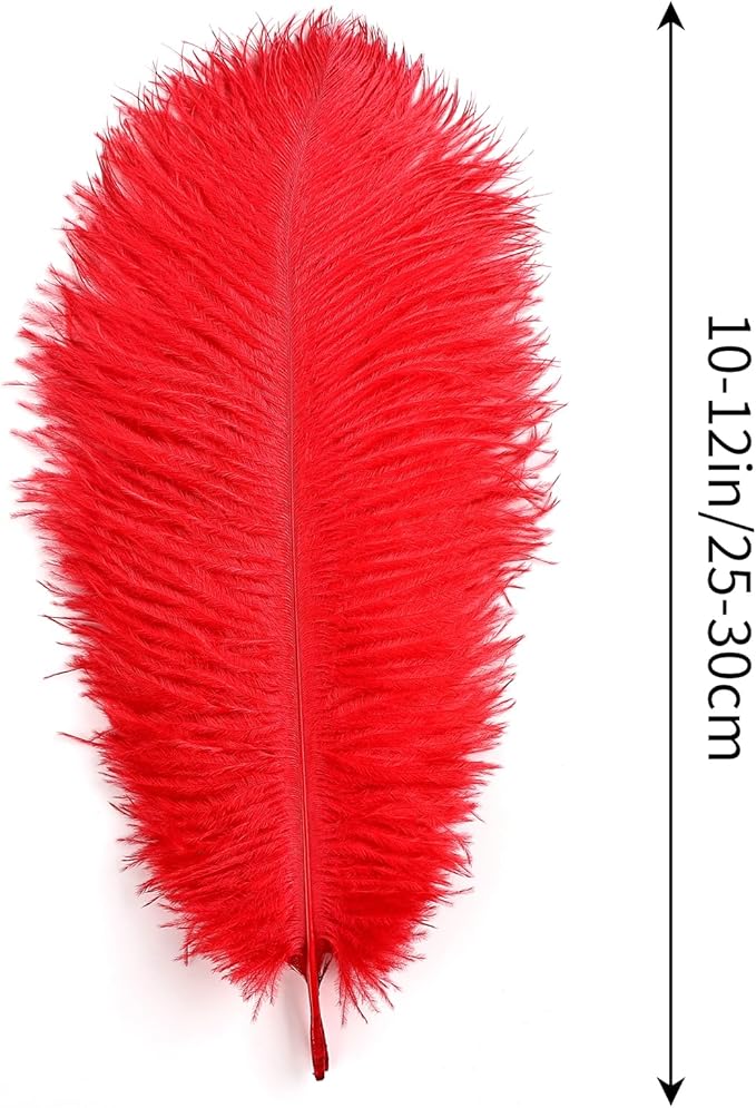THARAHT Red Ostrich Feathers 12pcs Natural Bulk 10-12Inch 25cm-30cm for Crafts Wedding Party Centerpieces Halloween and Home Decoration Feathers