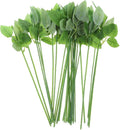 Veemoon 30pcs Floral Wire Stem with Leaves Artificial Plastic Rose Floral Wire Stems DIY Craft Bouquet Making Floral Arrangement Tools for Wedding Bouquet Centerpiece Home Decor