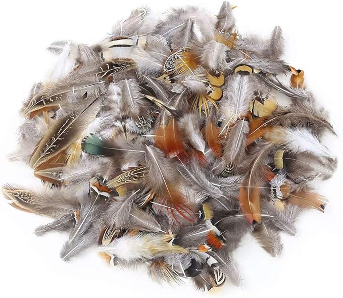 360pcs 12 Styled Natural Feathers Assorted Mixed Feathers for Jewelry and Dream Catcher Crafts