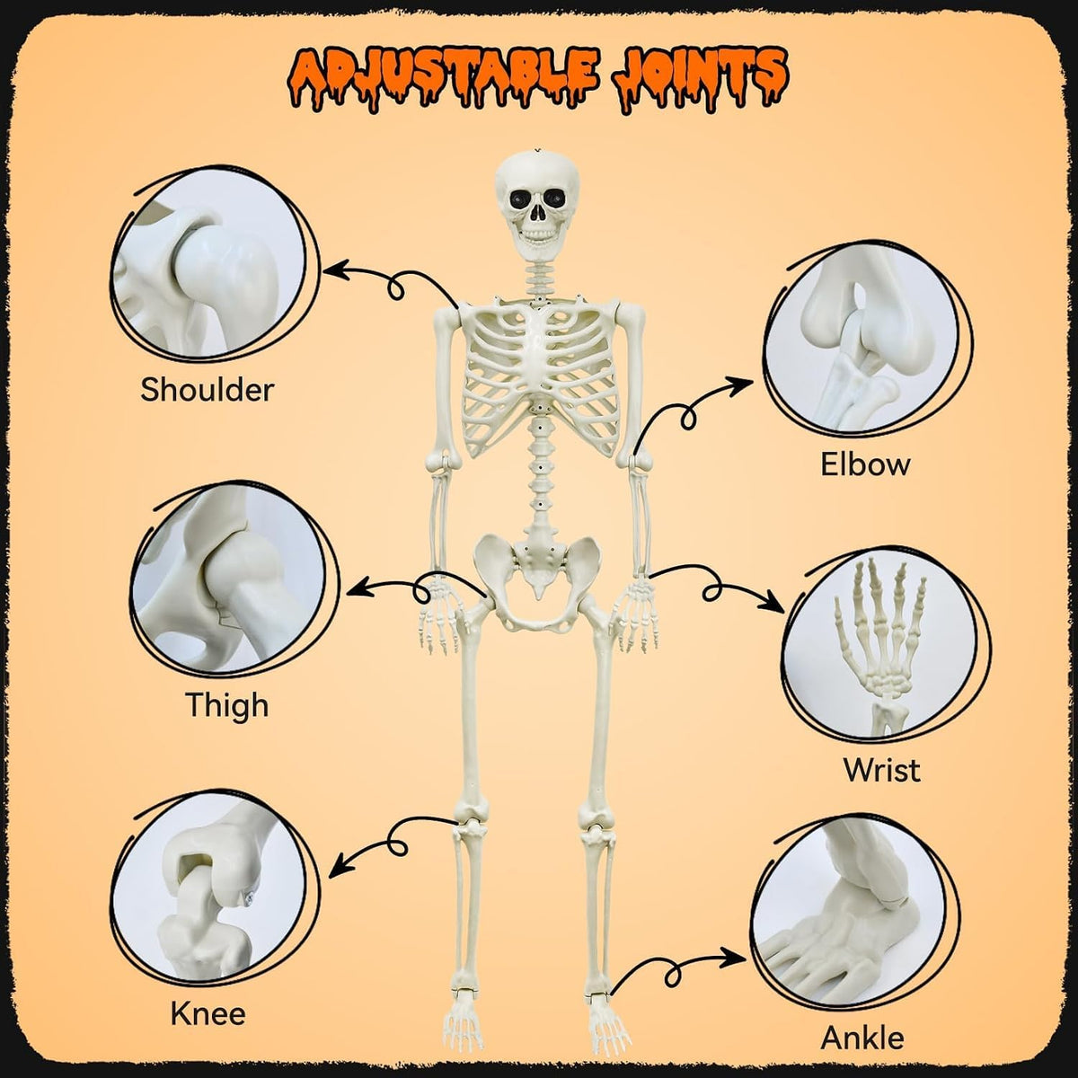 halloween decorations outdoor 5.4ft life-size realistic posable skeleton, side view