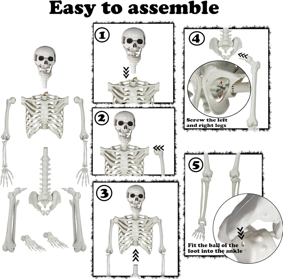5.9ft Halloween Life Size Skeleton Realistic Full Body Skeletons Plastic Huma...