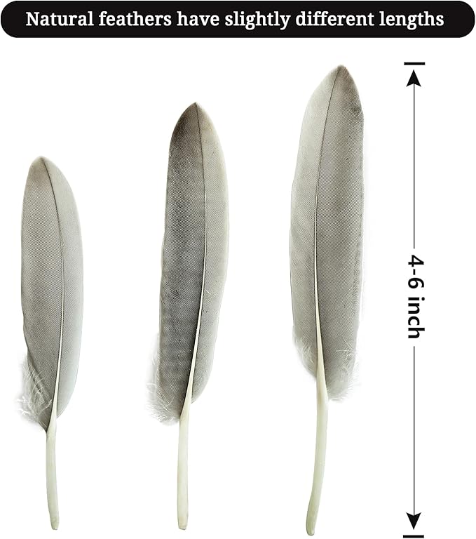 FeelfunFeather 120pcs Natural Gray Goose Cochettes Feathers Bulk 4-6 inches 10-15cm for Wedding Party Christmas Halloween Decorations DIY Crafts