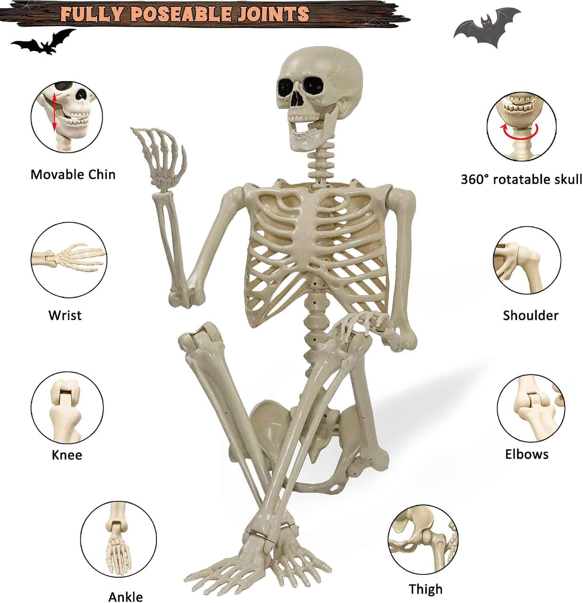 Znorso 5.4ft Halloween Skeleton - Halloween Posable Life Size Skeleton Huma F...