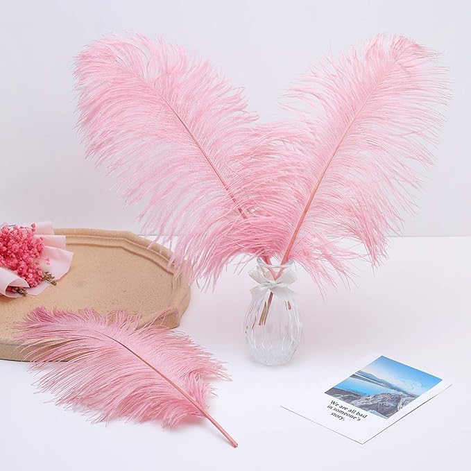 Ballinger Lotus Pink Ostrich Feathers - 24Pcs 12-14inch Large Feathers Bulk for Vase,Party Centerpieces,Wedding and Home Decor