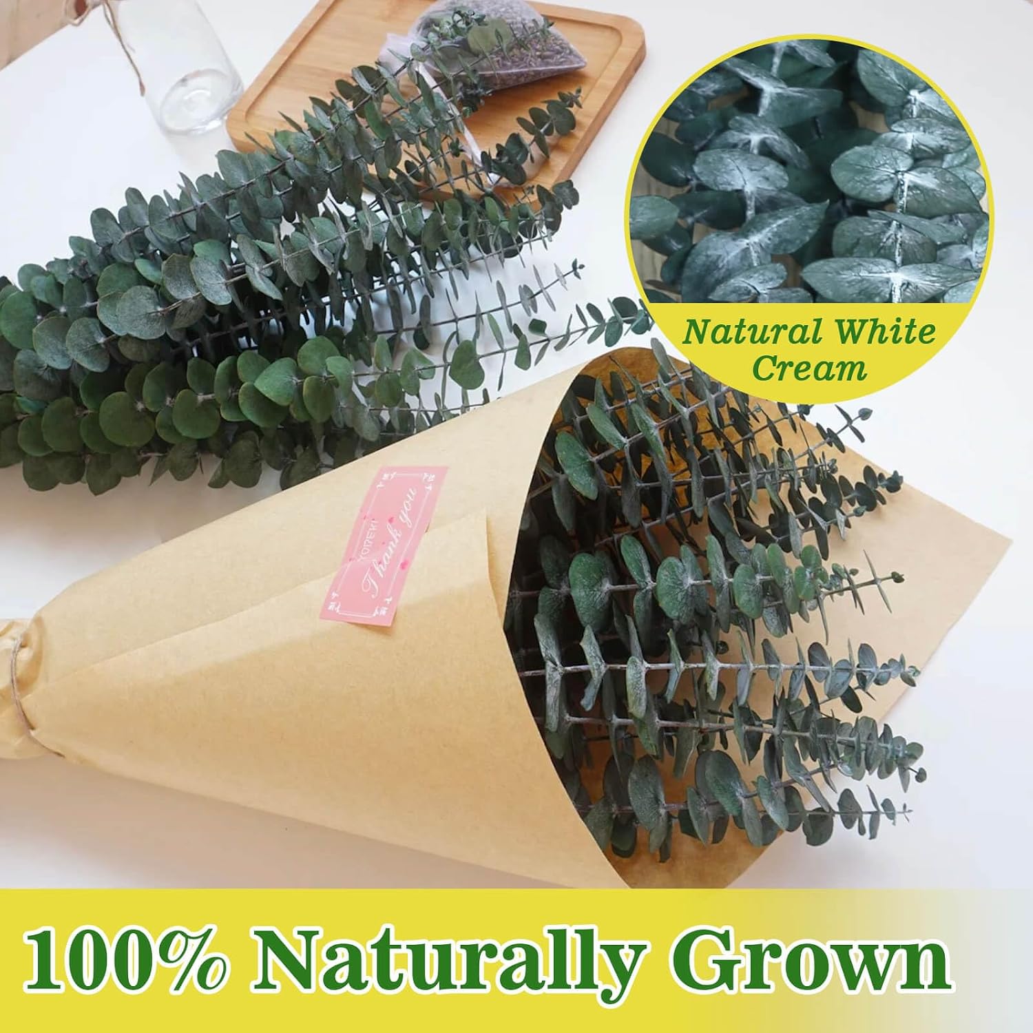 11 PCS Real Dried Eucalyptus Stem for Shower & Bathroom Decor - 17'' Large Natural Fresh Eucalyptus Leaves Hanging Plants, Shower Stuff Green Home Vase Decor, DIY
