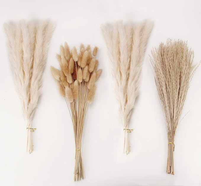 Natural Dried Pampas Grass Decor, White Pampas Grass， Bunny Tails Dried Flowers, Reed Grass Bouquet for Wedding Boho Flowers Home Table Decor, Rustic Farmhouse Party (100 in Total )