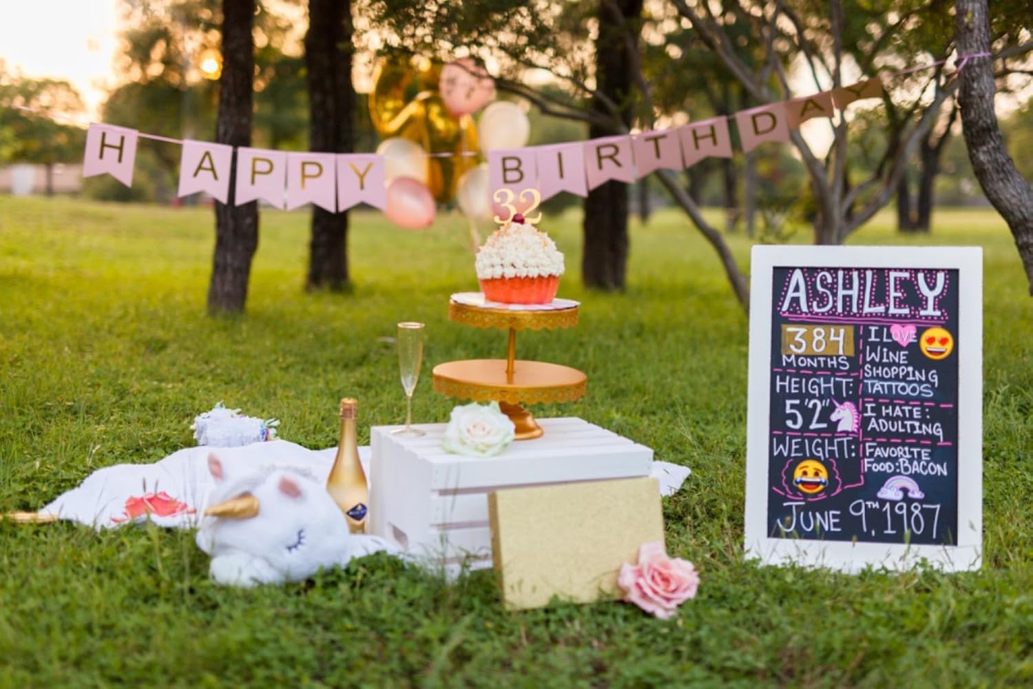 Happy Birthday Banner Pink Birthday Signs Party Supplies Garland Decorations Nursery Hanging Decor (Soft Pink)
