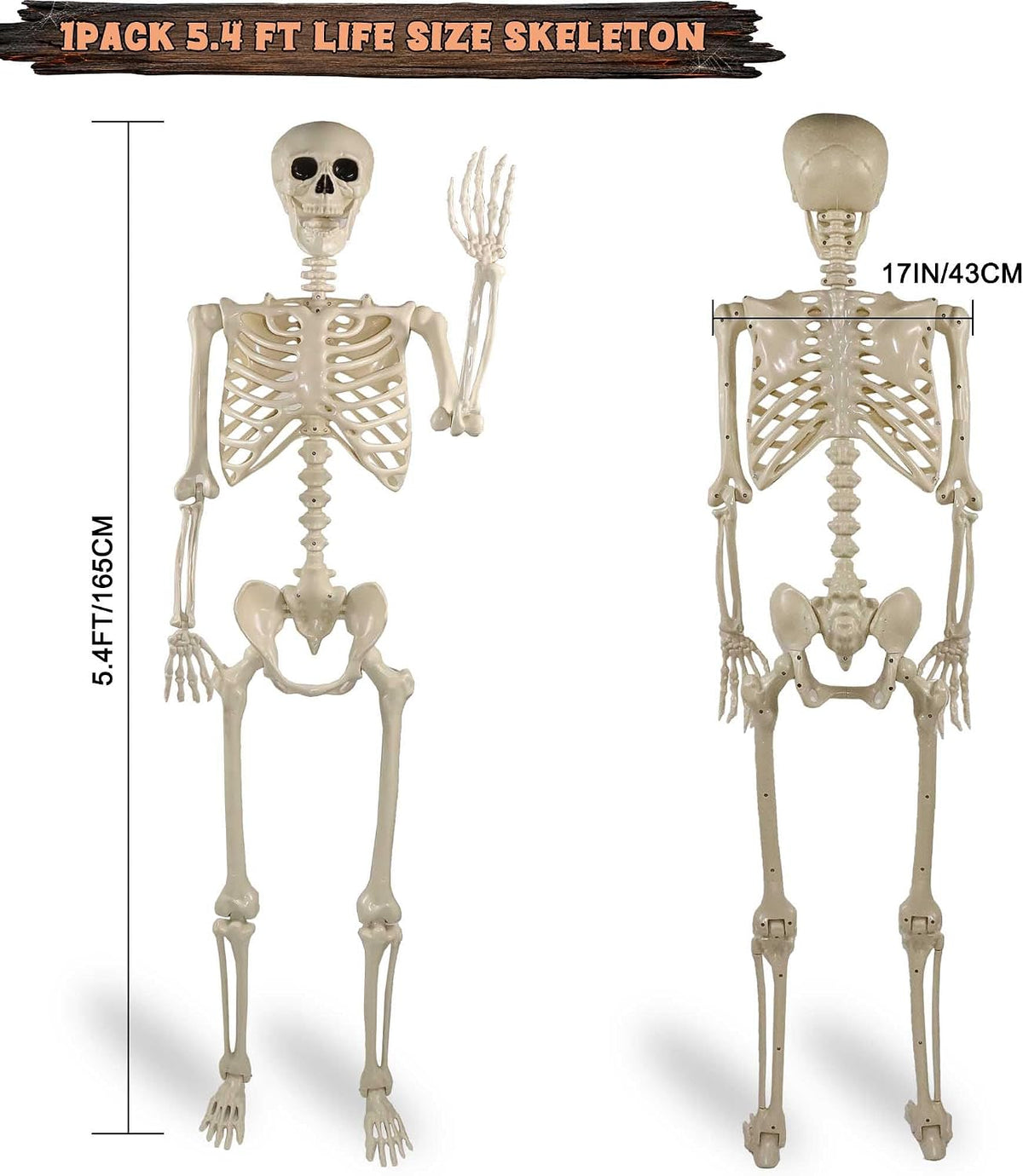 Znorso 5.4ft Halloween Skeleton - Halloween Posable Life Size Skeleton Huma F...