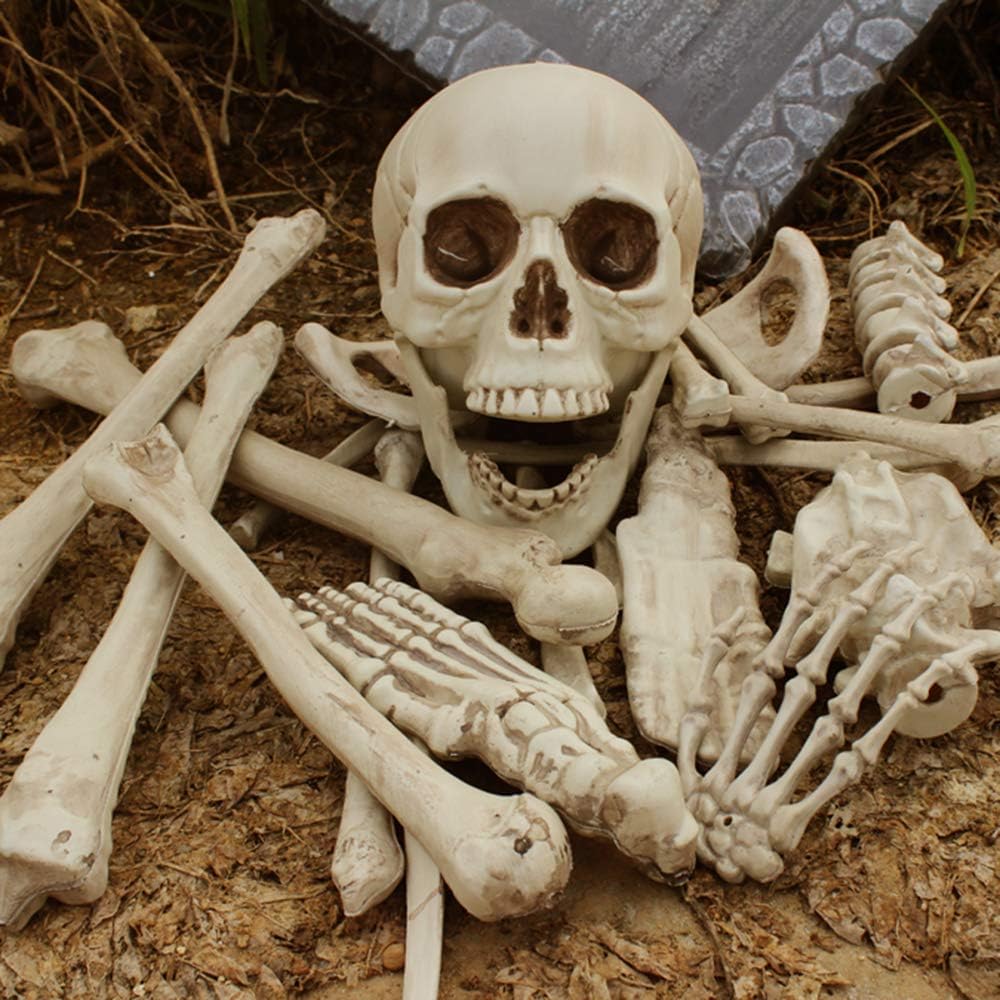 XONOR 28 Pieces Skeleton Bones and Skull for Halloween Decor or Spooky Gravey...
