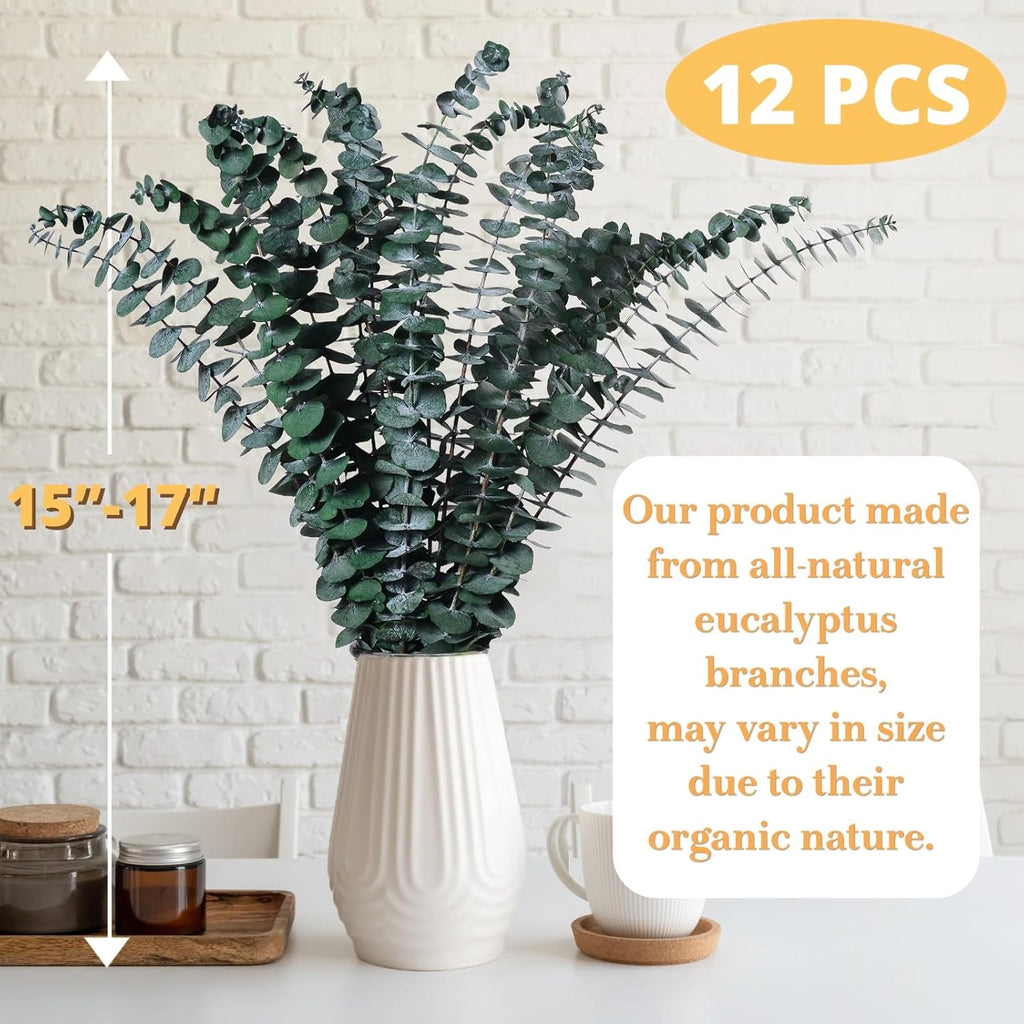 12PCS Dried Eucalyptus for Shower Hanging - 17'' Real Large Preserved Eucalyptus Stems Green Home Decor, 100% Made from Fresh Eucalyptus Leaves, Bathroom Shower Decor, Wedding, DIY
