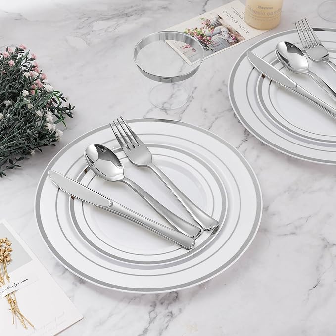BESTVIP 300PCS Plastic Dinnerware Set (50 Guests), Silver Disposable Plates for Party, Wedding, Christmas, Anniversary, Includes: Dinner Plates, Dessert Plates, Cups, Spoons, Forks and Knives