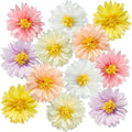 12 Pcs Daisy Tissue Paper Pom Poms Party Decorations Colorful Tissue Flowers Spring Party Decoration Paper Flowers Decorations for Wall Backdrop Garden Wedding Decor