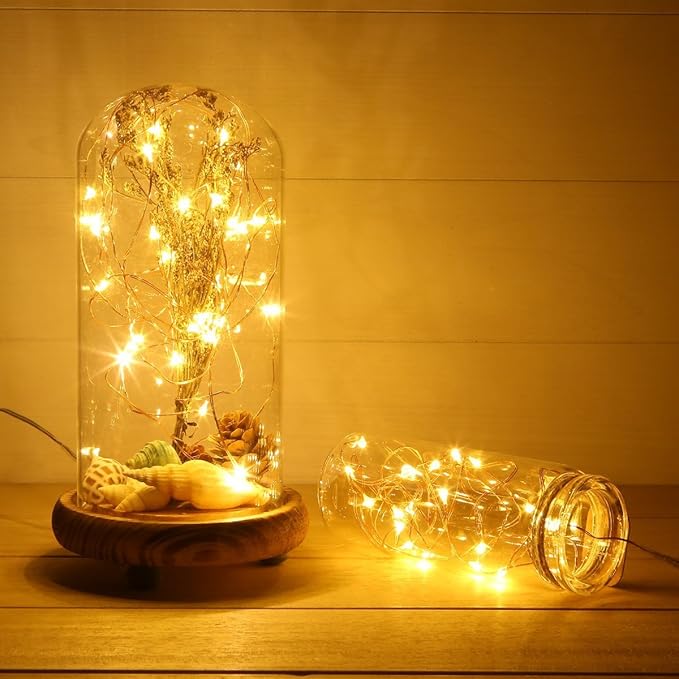 ANJAYLIA 2 Pack Fairy Lights 16.4ft 50 LED String Lights Battery Operated Mini Firefly Starry Lights for Wedding, Bedroom, Party, Christmas, Warm White