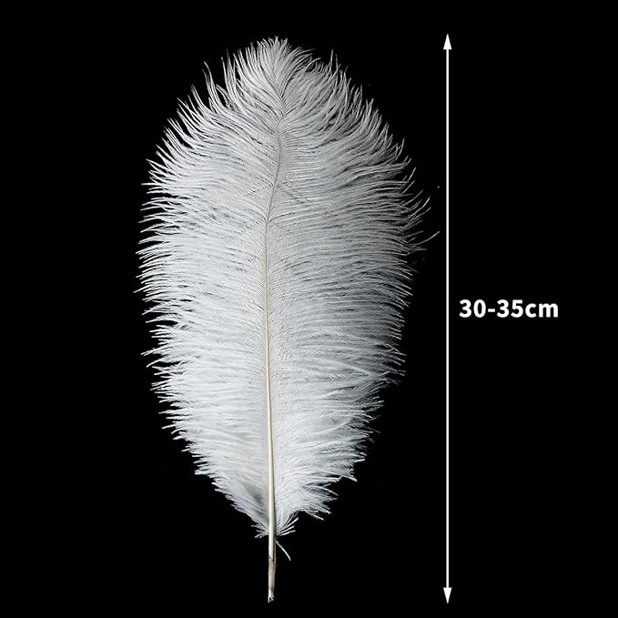 12pcs Natural White Ostrich Feathers 12-14inch (30-35cm) for Wedding Party Centerpieces，Flower Arrangement and Home Decoration.