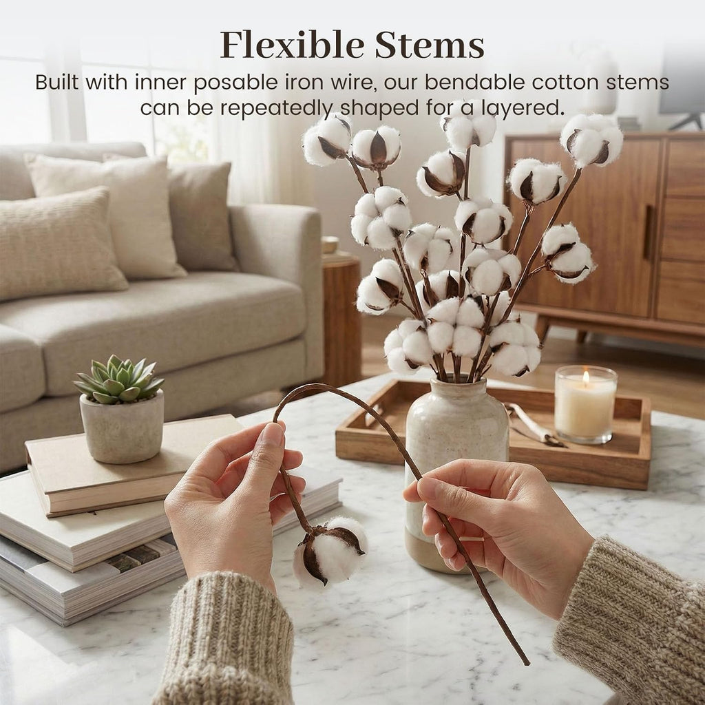 DomeStar Cotton Stems 8 Packs with 15 Bolls, Natural Dried Flowers Cotton Sprigs for Vase Fillers and Floral Arrangements - Fall Decorations and DIY Crafts