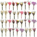 10/12/24/36 Pack Mini Dried Flowers for Vase Wedding Various Mini Bouquet Dried Small Wildflowers Natural Flowers Bulk for Crafts DIY Decor (36, Multicolor)