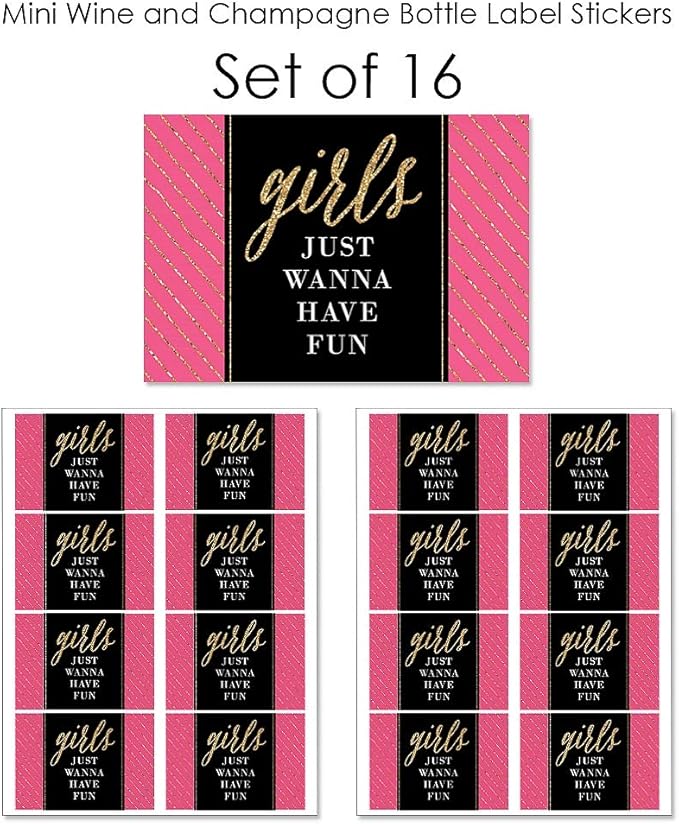 Big Dot of Happiness Girls Night Out - Mini Wine and Champagne Bottle Label Stickers - Bachelorette Party Favor Gift for Women and Men - Set of 16