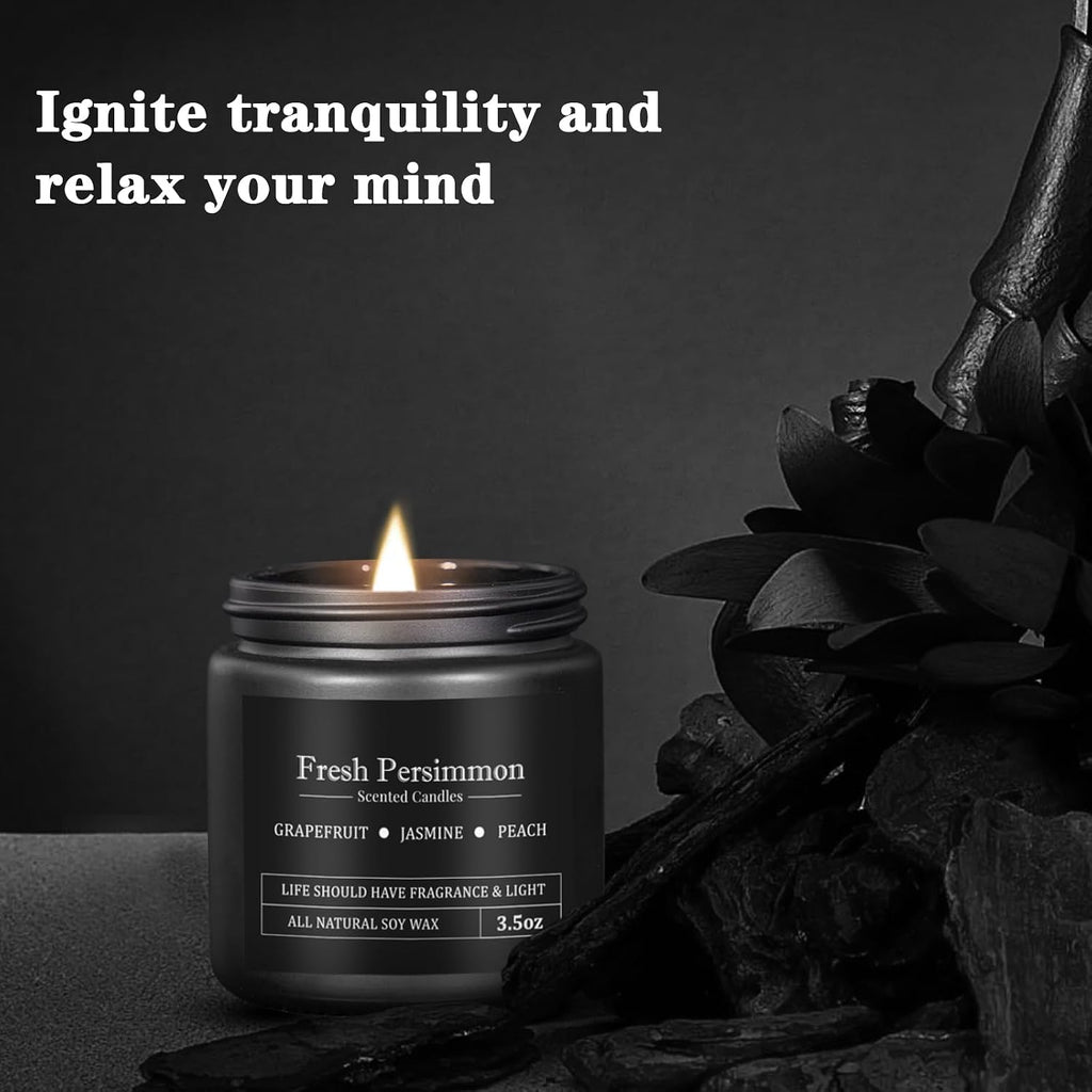 10 Pack Scented Candles for Men, Masculine Candle Gift Set with Woody & Fresh Scents, Soy Wax Aromatherapy Candles for Home, Gifts for Him, Boyfriend, Father's Day