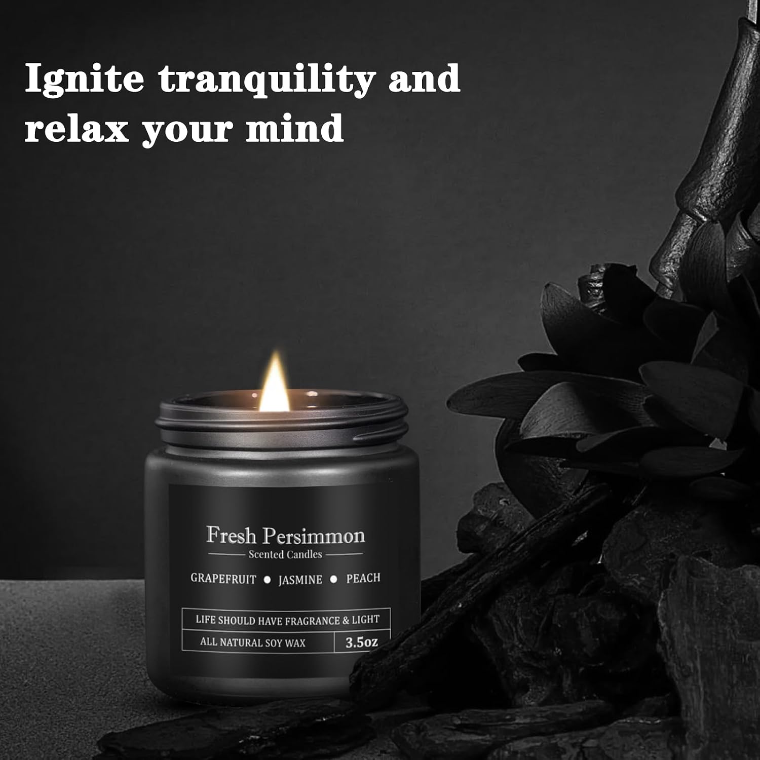 10 Pack Scented Candles for Men, Masculine Candle Gift Set with Woody & Fresh Scents, Soy Wax Aromatherapy Candles for Home, Gifts for Him, Boyfriend, Father's Day