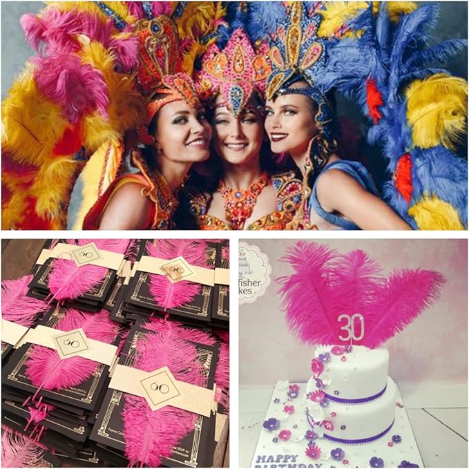 Ballinger Fuchsia Large Ostrich Feathers - 24pcs 8-10inch Hot Pink Feathers for Party Centerpieces, Flower Arrangement and Home Decor