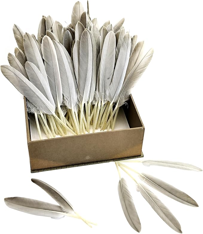 FeelfunFeather 120pcs Natural Gray Goose Cochettes Feathers Bulk 4-6 inches 10-15cm for Wedding Party Christmas Halloween Decorations DIY Crafts
