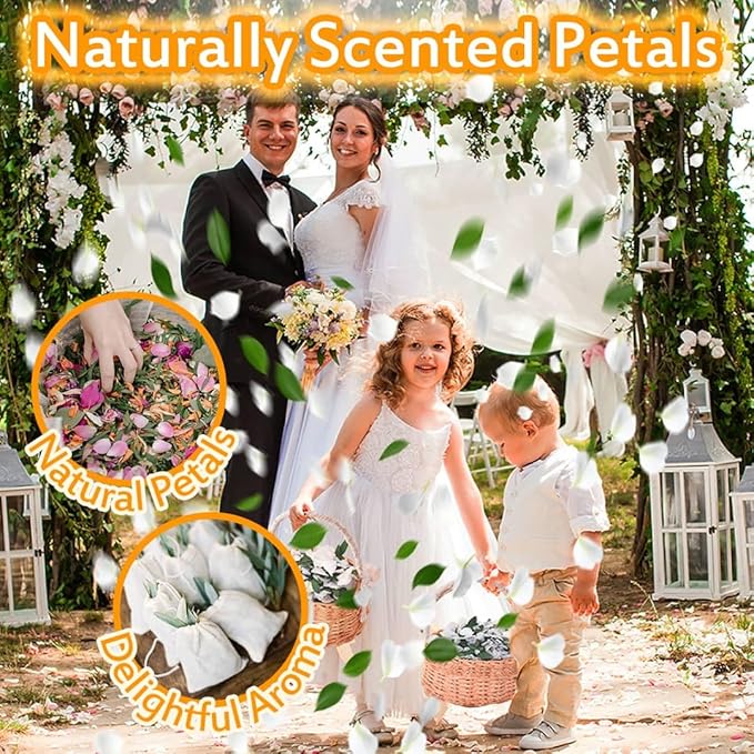 Real Dried Ivory White Hydrangea Flower & Eucalyptus Petals - 3000+ Natural Fragrant Confetti for Wedding, Flower Girl Baskets, Aisle Decor, Scented Sachets, Spring Potpourri Bags, Air Freshener